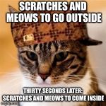 Scumbag Cat | SCRATCHES AND MEOWS TO GO OUTSIDE; THIRTY SECONDS LATER: SCRATCHES AND MEOWS TO COME INSIDE | image tagged in scumbag cat | made w/ Imgflip meme maker
