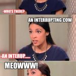 Bad Pun Ocasio-Cortez | KNOCK KNOCK; -WHO’S THERE? AN INTERRUPTING COW; -AN INTERUP...... MEOWWW! | image tagged in bad pun ocasio-cortez | made w/ Imgflip meme maker