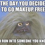 Annoyed and confused Yeti | THE DAY YOU DECIDE TO GO MAKEUP FREE; AND RUN INTO SOMEONE YOU KNOW. | image tagged in annoyed and confused yeti | made w/ Imgflip meme maker
