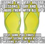 Flip Flops | I  LEARNED  TWO  VERY  VALUABLE  LIFE  LESSONS  TODAY  AND  I  WANT  TO  SHARE  THEM  WITH  ALL  OF  YOU. FIRST,  SOME  PINE  CONES  LOOK  LIKE  POOP.  SECOND,  NEVER  KICK  PINE  CONES  WEARING  FLIP  FLOPS.  YOU'RE  WELCOME. | image tagged in flip flops | made w/ Imgflip meme maker