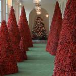 Trump Christmas Trees