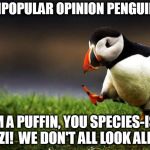 I'm not a Porg either!  I just play one in the movies.  Wait, is that birdwashing? | "UNPOPULAR OPINION PENGUIN"? I'M A PUFFIN, YOU SPECIES-IST NAZI!  WE DON'T ALL LOOK ALIKE! | image tagged in unpopular opinion penguin,memes | made w/ Imgflip meme maker