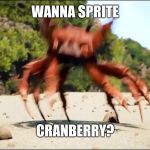 Crab Rave | WANNA SPRITE; CRANBERRY? | image tagged in crab rave | made w/ Imgflip meme maker