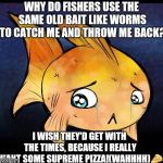 Make fish happy use better tasting bait! | WHY DO FISHERS USE THE SAME OLD BAIT LIKE WORMS TO CATCH ME AND THROW ME BACK? I WISH THEY'D GET WITH THE TIMES, BECAUSE I REALLY WANT SOME SUPREME PIZZA!(WAHHHH)🍕 | image tagged in other sad fish,memes | made w/ Imgflip meme maker