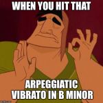 Kronk Just Right | WHEN YOU HIT THAT; ARPEGGIATIC VIBRATO IN B MINOR | image tagged in kronk just right | made w/ Imgflip meme maker