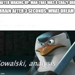 kowalski, analysis Meme Generator - Imgflip