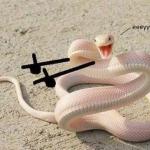 Bad Joke Snake