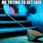 butterfly rock | ME TRYING TO GET LAID | image tagged in butterfly rock | made w/ Imgflip meme maker