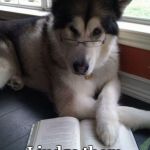 reading dog | No, I don't judge people on their looks. I judge them on their grammar. | image tagged in reading dog | made w/ Imgflip meme maker