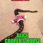 Coop's house | XMAS AT; ALICE COOPER'S HOUSE | image tagged in alice cooper,xmas,snakes | made w/ Imgflip meme maker