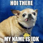 Derpy Dog | HOI THERE; MY NAME IS IDK | image tagged in derpy dog | made w/ Imgflip meme maker