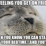 That feeling you get.. | THE FEELING YOU GET ON FRIDAY'S; WHEN YOU KNOW YOU CAN STAY UP PAST YOUR BEDTIME....AND YOU'RE 48 | image tagged in awesome feeling seal,friday night,bedtime,old,stay up,friday's | made w/ Imgflip meme maker