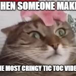 flower cat | WHEN SOMEONE MAKES THE MOST CRINGY TIC TOC VIDEO | image tagged in flower cat | made w/ Imgflip meme maker
