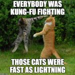 Kung-Fu Cats | EVERYBODY WAS KUNG-FU FIGHTING; THOSE CATS WERE FAST AS LIGHTNING | image tagged in two cats fighting | made w/ Imgflip meme maker