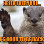 It’s good to be back...I missed you all ♥️ | HELLO EVERYONE... IT’S GOOD TO BE BACK! | image tagged in welcome back otter | made w/ Imgflip meme maker