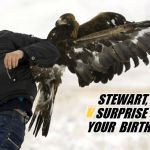 Eagle attack | STEWART, 
A 🍺SURPRISE ON🎈 YOUR 
BIRTHDAY | image tagged in eagle attack | made w/ Imgflip meme maker