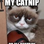 Grumpy Cat Football | GIVE ME MY CATNIP; OR I’LL DESTROY YOUR LUCKY FOOTBALL. | image tagged in grumpy cat football | made w/ Imgflip meme maker