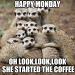 Meerkat Monday | HAPPY MONDAY; OH LOOK,LOOK,LOOK SHE STARTED THE COFFEE | image tagged in meerkat monday,coffee | made w/ Imgflip meme maker