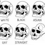 White Black Asian Gay Straight skull template meme