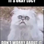 Blinking cat | IT'S OKAY LUCY; DON'T WORRY ABOUT IT | image tagged in blinking cat | made w/ Imgflip meme maker
