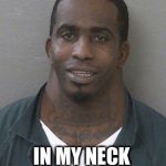 Neck guy | YOU’D NEVER SURVIVE; IN MY NECK OF THE HOOD | image tagged in neck guy | made w/ Imgflip meme maker
