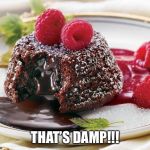 Moist Cake | THAT’S DAMP!!! | image tagged in moist cake | made w/ Imgflip meme maker