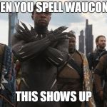 wakanda | WHEN YOU SPELL WAUCONDA; THIS SHOWS UP | image tagged in wakanda | made w/ Imgflip meme maker