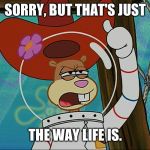 That's just the way life is. | SORRY, BUT THAT'S JUST; THE WAY LIFE IS. | image tagged in sandy cheeks - tough,memes,funny,sandy cheeks,sandy cheeks cowboy hat,spongebob squarepants | made w/ Imgflip meme maker