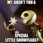 So facts hurt your feewings. | MY, AREN'T YOU A; SPECIAL LITTLE SNOWFLAKE? | image tagged in nightmare before christmas | made w/ Imgflip meme maker