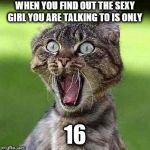 Shocked Cat | WHEN YOU FIND OUT THE SEXY GIRL YOU ARE TALKING TO IS ONLY; 16 | image tagged in shocked cat | made w/ Imgflip meme maker