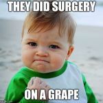 Sucess Baby | THEY DID SURGERY; ON A GRAPE | image tagged in sucess baby | made w/ Imgflip meme maker
