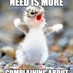 Complainer Bird | WHAT WE NEED IS MORE; COMPLAINING ABOUT PEOPLE COMPLAINING! | image tagged in complainer bird | made w/ Imgflip meme maker