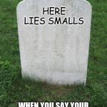 Tombstone | HERE LIES SMALLS; WHEN YOU SAY YOUR KILLING ME SMALLS, HE REALLY WAS KILLING HIMSELF. | image tagged in tombstone | made w/ Imgflip meme maker