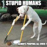 Dog poop | STUPID HUMANS; ALWAYS POOPING ALL OVER THE PLACE | image tagged in dog poop | made w/ Imgflip meme maker