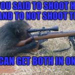 The Friendly neighborhood sniper monkey, doin' what sniper monkeys do... | "YOU SAID TO SHOOT HIS PECKER, AND TO NOT SHOOT THE WIFE?"; CORRECT; "EVEN IF I CAN GET BOTH IN ONE SHOT?" | image tagged in sniper monkey,dark humor,cheater,cheating,funny memes,plot twist | made w/ Imgflip meme maker