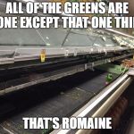 Empty Grocery Store | ALL OF THE GREENS ARE GONE EXCEPT THAT ONE THING; THAT'S ROMAINE | image tagged in empty grocery store | made w/ Imgflip meme maker