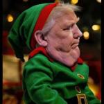 Trump Xmas Elf
