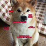 Angry doge | WHEN U FIND OUT THERE'S A SPORT STREAM BUT NO DOG STREAM; WOW; SUCH ANGER; #DOGMEMESMATTER; WE  BEEN GOOD BOYS/GIRLS; DOGOS NEED OWN STREAM; DOWNVOTE ALL CAT AND SPORTS MEMES TIL WE GET STREAM | image tagged in angry doge,dogmemesmatter,doge,wow,dogs,dog | made w/ Imgflip meme maker