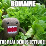 Killer Lettuce | ROMAINE; THE REAL DEVILS LETTUCE! | image tagged in killer lettuce | made w/ Imgflip meme maker