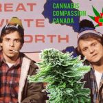canada cannabis | image tagged in the great white north,canada cannabis,canadaweed,funny,funny memes,funny meme | made w/ Imgflip meme maker
