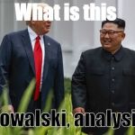 Donald Trump and Kim Jong Un | What is this; Kowalski, analysis | image tagged in donald trump and kim jong un | made w/ Imgflip meme maker