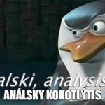 Kowalski, Analysis | ANÁLSKY KOKOTLÝTIS | image tagged in kowalski analysis | made w/ Imgflip meme maker