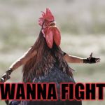 chiken | WANNA FIGHT | image tagged in chiken | made w/ Imgflip meme maker