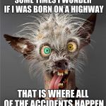 Me Monday morning | SOME TIMES I WONDER IF I WAS BORN ON A HIGHWAY; THAT IS WHERE ALL OF THE ACCIDENTS HAPPEN | image tagged in me monday morning | made w/ Imgflip meme maker