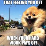 happy dog | THAT FEELING YOU GET; WHEN YOUR HARD WORK PAYS OFF | image tagged in happy dog | made w/ Imgflip meme maker