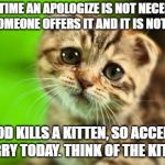 Sorry Cat | EVERYTIME AN APOLOGIZE IS NOT NECESSARY AND SOMEONE OFFERS IT AND IT IS NOT TAKEN; GOD KILLS A KITTEN, SO ACCEPT A SORRY TODAY. THINK OF THE KITTENS! | image tagged in sorry cat | made w/ Imgflip meme maker
