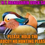 Mandarin Duck says; Please, hold the Orange Sauce!! | THE N.Y. MANADARIN DUCK SAYS:; PLEASE, HOLD THE SAUCE!! NO HUNTING PLEASE! | image tagged in mandarin duck says please hold the orange sauce | made w/ Imgflip meme maker