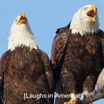 laughs in american