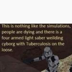 Not Like The Simulations After All meme