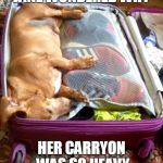 Holidays  | JANE WONDERED WHY; HER CARRYON WAS SO HEAVY | image tagged in holidays | made w/ Imgflip meme maker